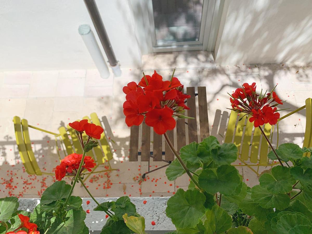Dimora Cummà Marì Acomodação com café da manhã Vieste Exterior foto